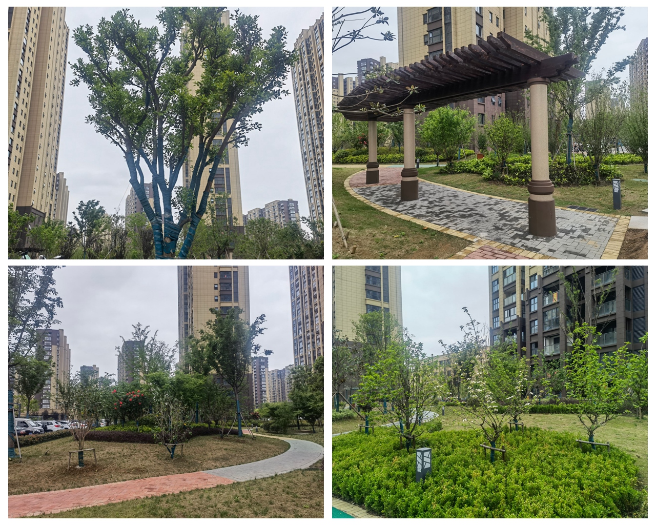 ����Ǿޱ��ǽ�������� �ڲ���רҵ�������Ϊ�����Ŵ��조��ס��֪�㡱���˾�����