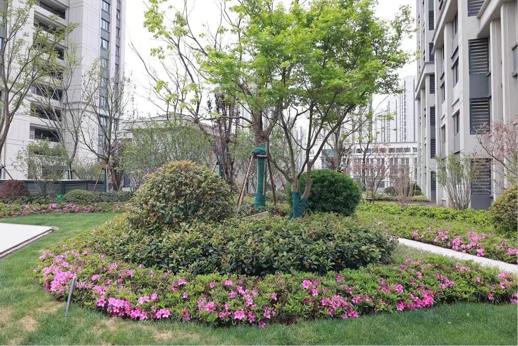 ��ͨ�㵱��������ȫ������824�װ��ܷ�����������