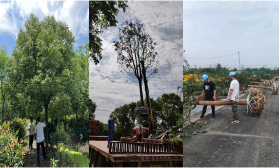 �깤���̳�2�ŵؿ������辶����¸߶�