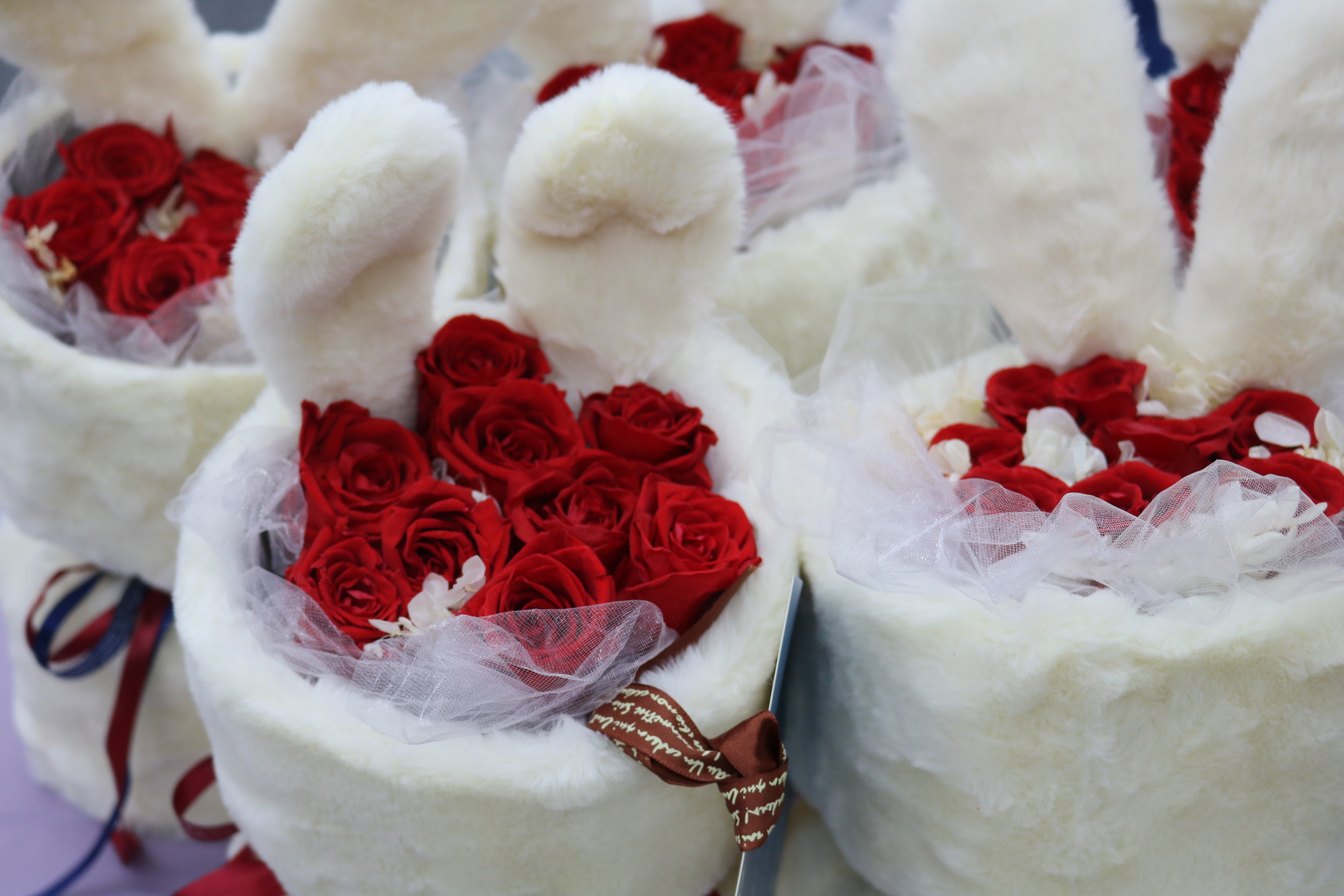 ��������������ӵ�������������ɿݵİ�